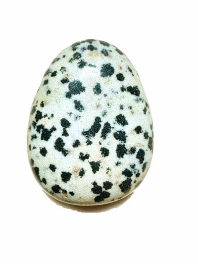 Dalmatinerstein Hornblende Edelstein schwarz gepunktet Trommelstein gebohrt