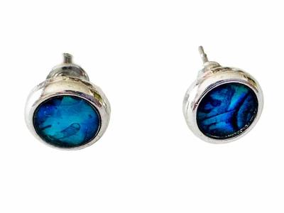 Paua Muschel Abalone Ohrringe Ohrstecker von Ocean Jewels