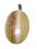 Aragonit Edelstein Cabochon oval Silber Anhänger Kettenanhänger