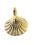 Muschel Ketten Anhänger in Gold getaucht