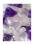 Trinkflasche ViA | WELLNESS Amethyst - Rosenquarz - Bergkristall