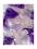 Wasserspender Grande | WELLNESS Rosenquarz - Amethyst - Bergkristall