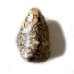 Leopardenjaspis Jaspis Leopardit Trommelstein freeform gebohrt