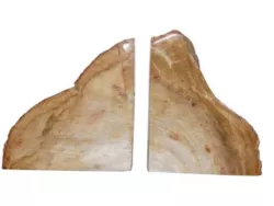 Edelstein Buchstützen Paar fossiles Holz ca. 15 cm hoch braun beige